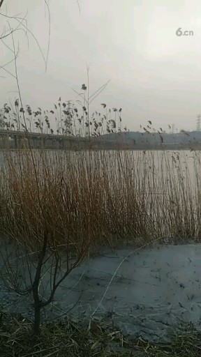 夕阳西下   旅游途中