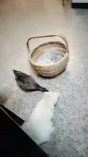 😂