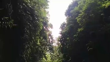 关系