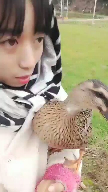 😂