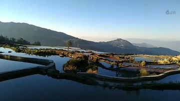 哈里梯田