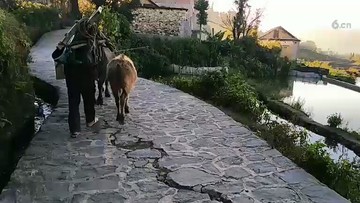 云南红河枫景
