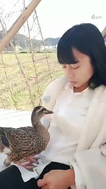 这鸭子😃