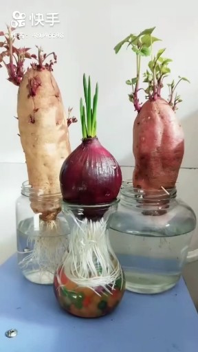 往事只能回味