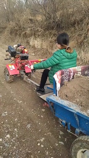 勇敢闯天下