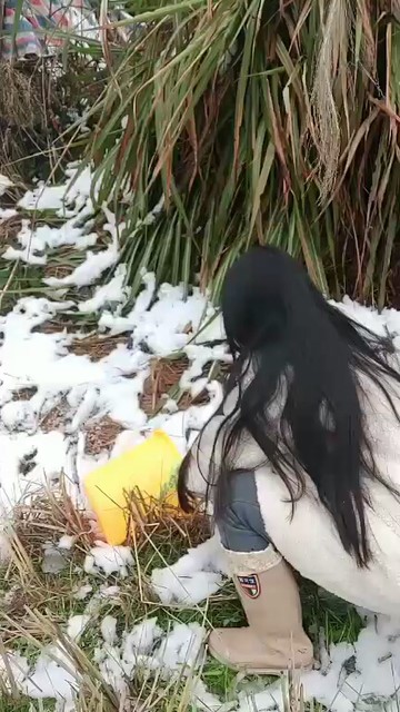 😂❄