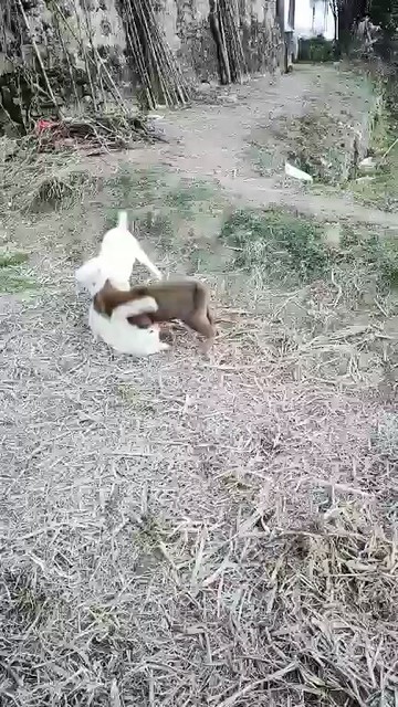 😂😂