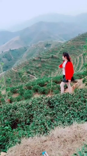 心在跳情在烧