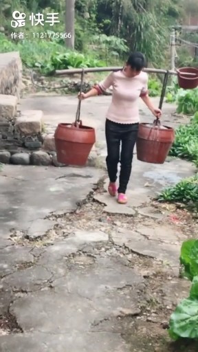 给菜浇浇水