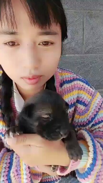 好乖