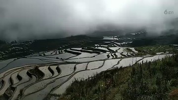 梯田
