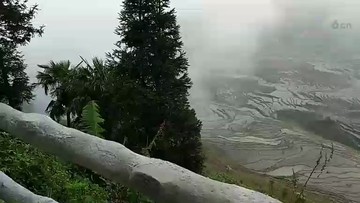 云南梯田