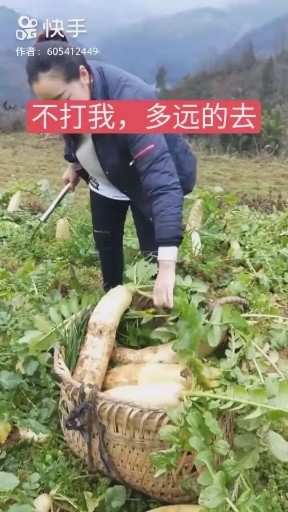 干就完了