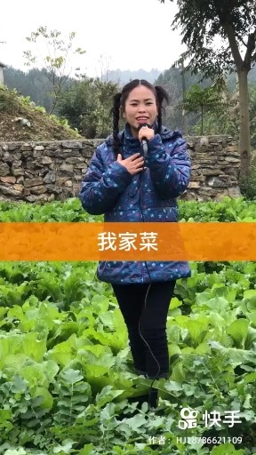 草原一枝花