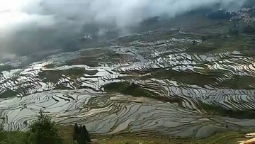 元阳梯田风景