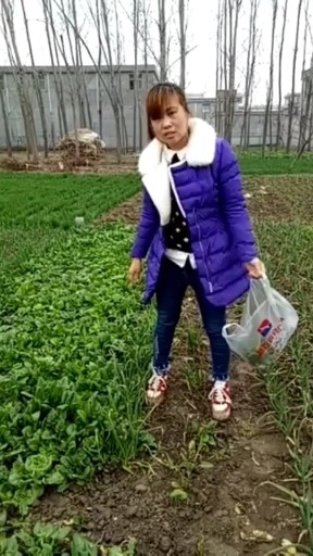空白的记忆