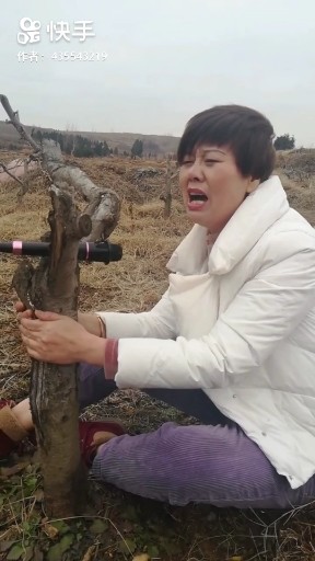 不能忘不能爱