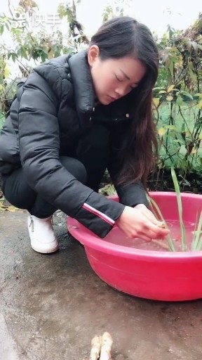 阳光的温暖