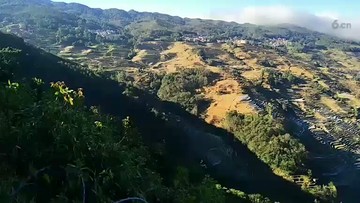 可以上