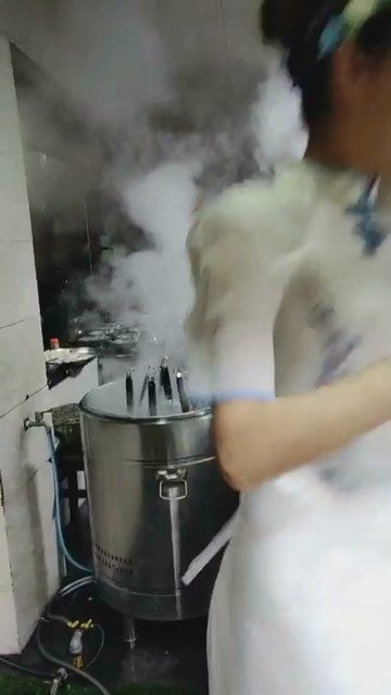 火了美女