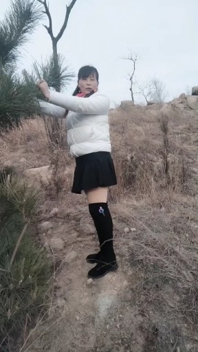 忘情水