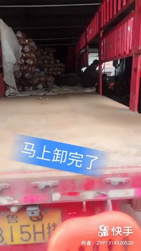 爱要有个度