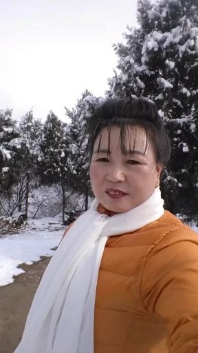 闯码头