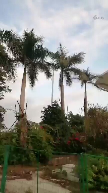 看风景听歌