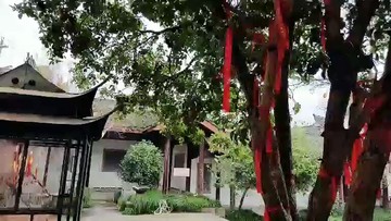 浙江园艺