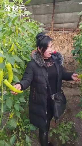 老妹你真美