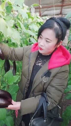 一曲相思