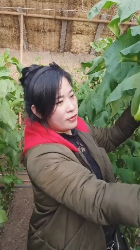 新年快乐歌