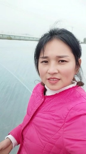 寂寞盈袖映清秋