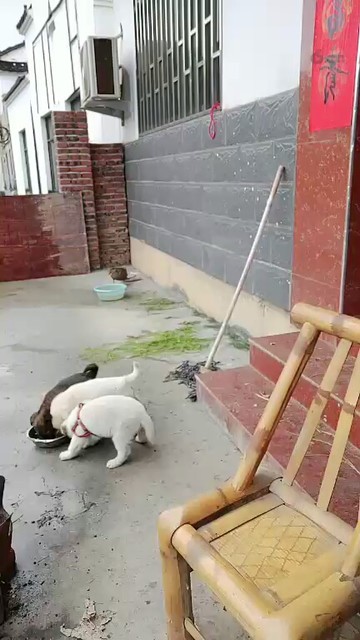 😂