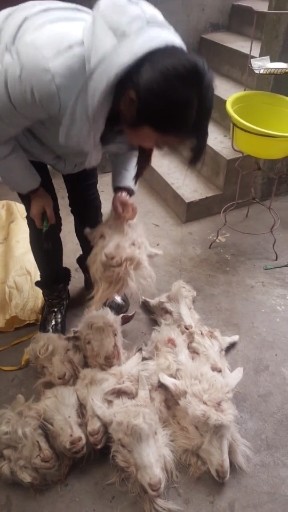 干就完了