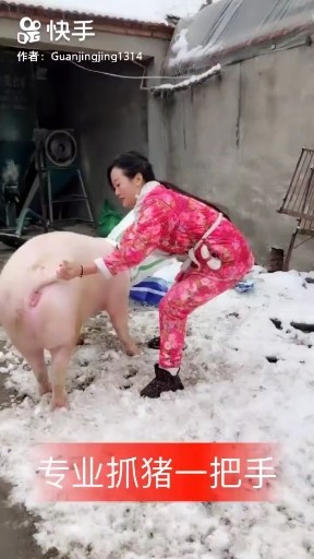 牛在飞