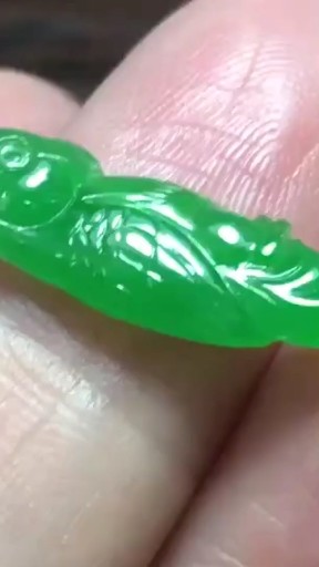 喜欢的来