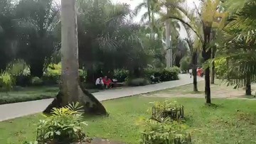 西双版纳风景