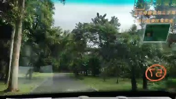 主播在去植物园