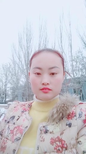 我的家乡下雪了