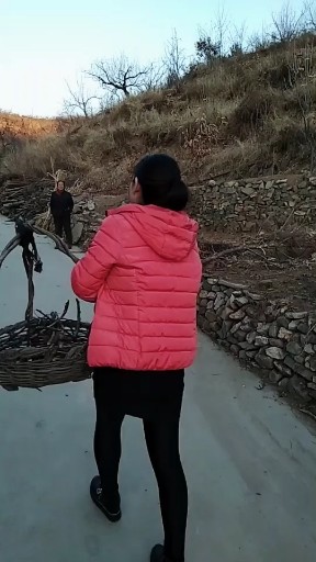 不变的情缘