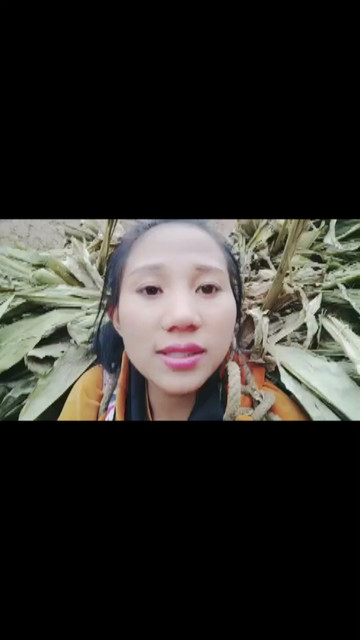 彝妹背草