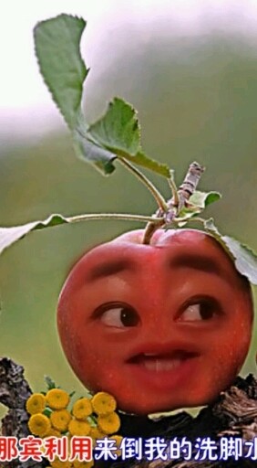 333