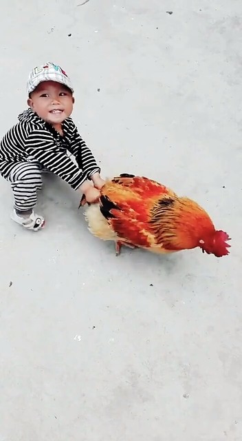 拔河比赛