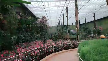 这景区太漂亮了