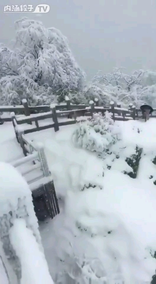 雪景