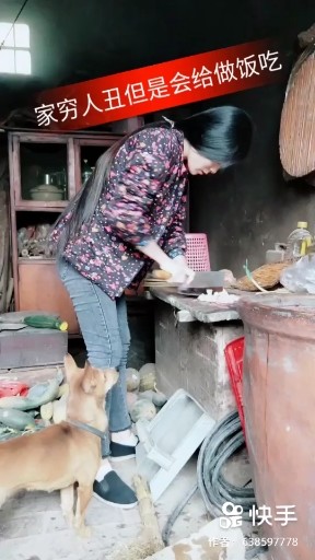 真心真意把你陪