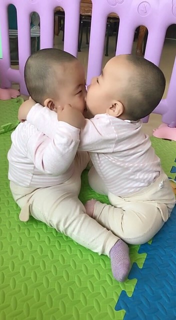 兄弟情