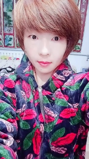 桃花相思雨