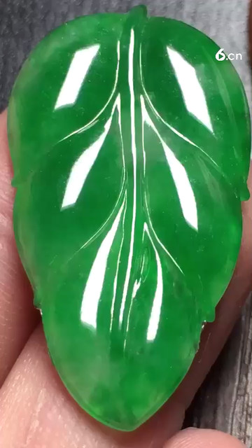 阳绿叶子，种老10000